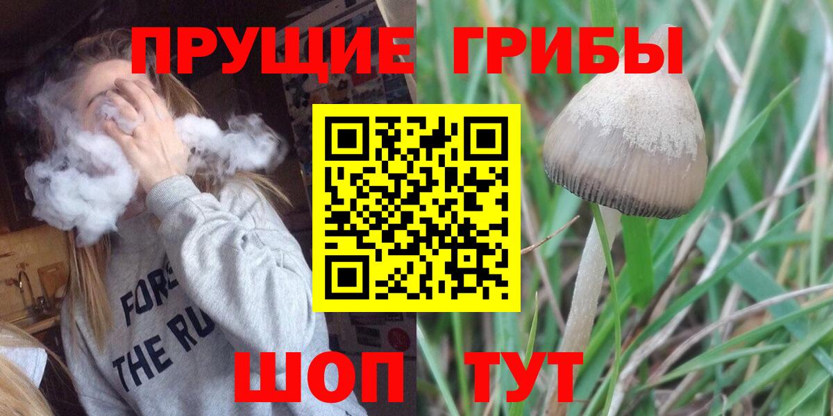 Псилоцибиновые грибы MAGIC MUSHROOMS Магнитогорск